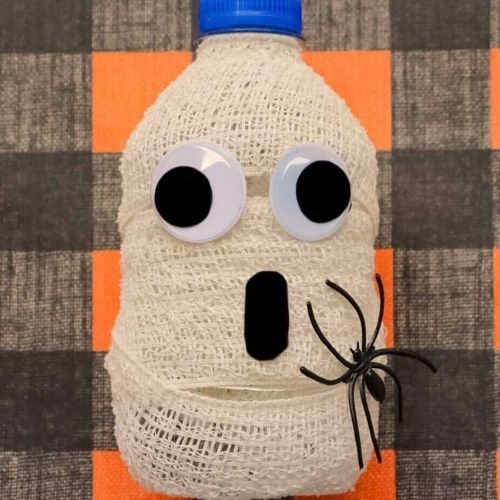 water bottle mummy craft finished