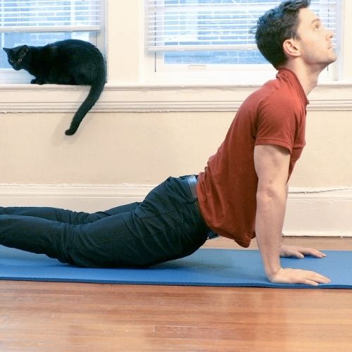 man practicing yoga at home with cat in background
