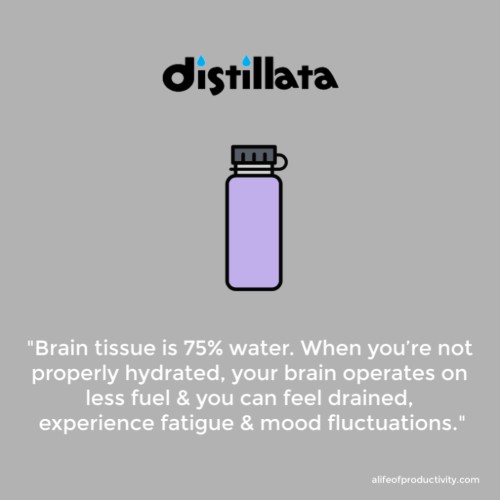 water for brain health statistics