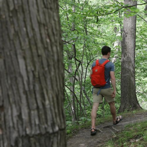 hiking in woods with red backpack