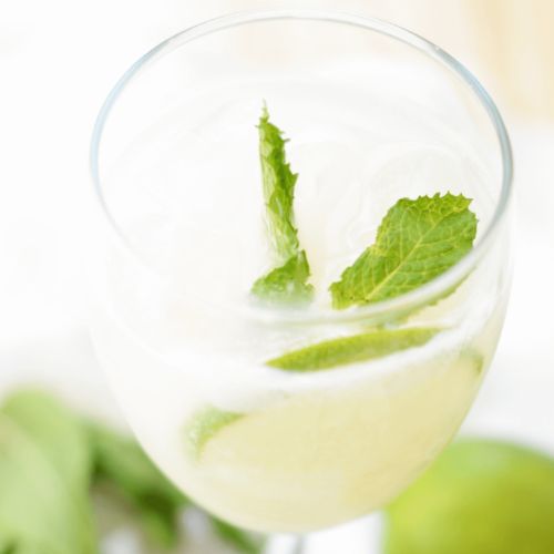 homemade mojito cocktail with sparkling water