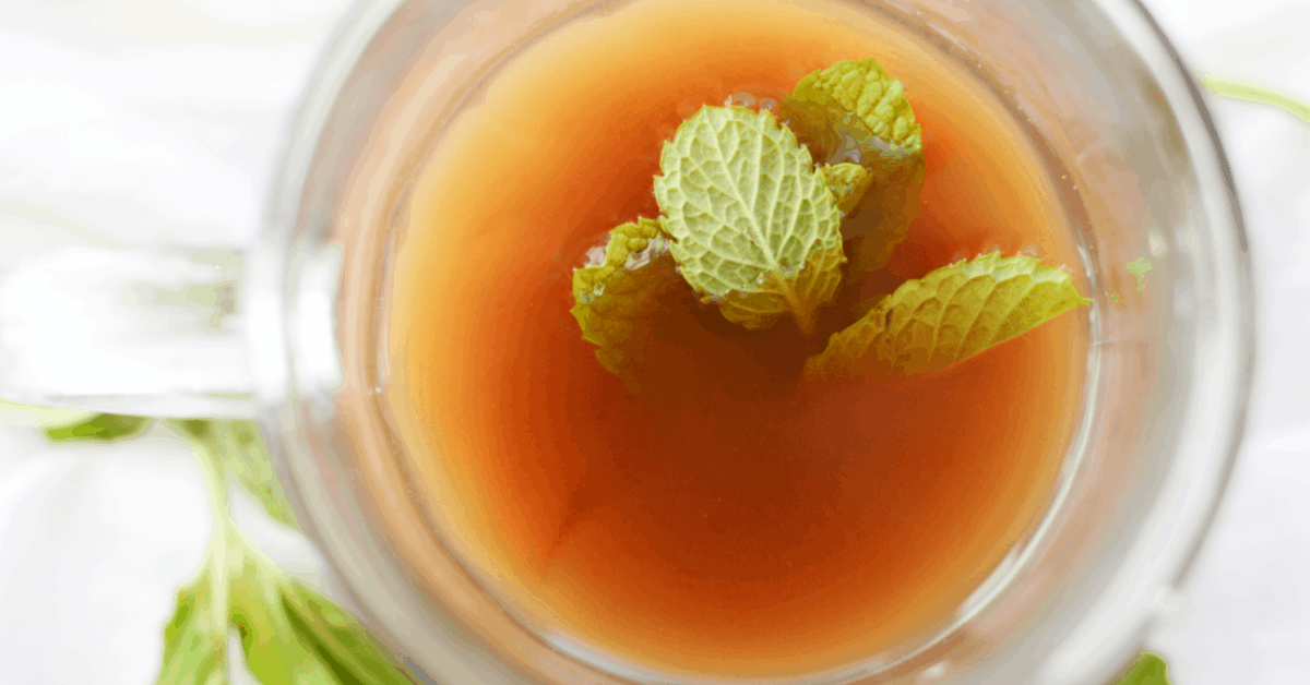 Chocolate Mint Herb Tea Recipe Distillata