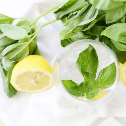 lemon basil spritzer recipe