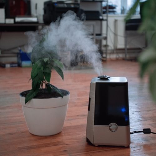 humidifier in room with plant