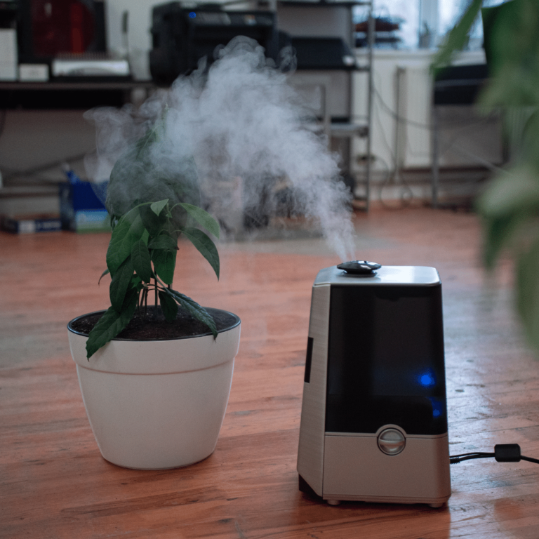 Quick Guide: Water for Humidifiers | Distillata