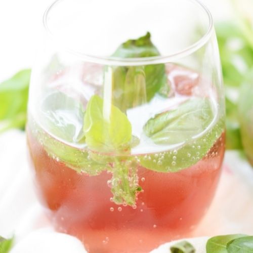 Cranberry Basil Sparkling Water Cocktail closeup