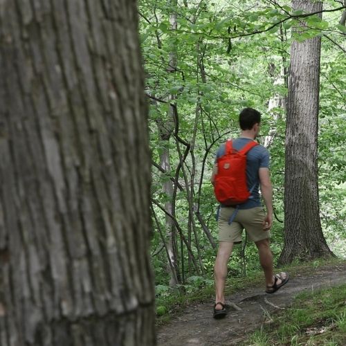 back of someone hiking in woods with an orange backpack