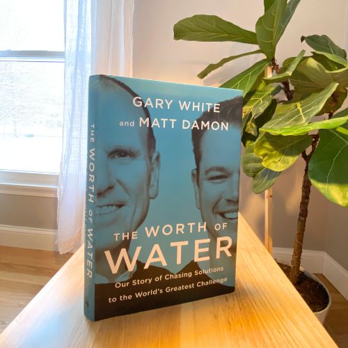 The Worth of Water Book standing upright on an end table with large plant in background