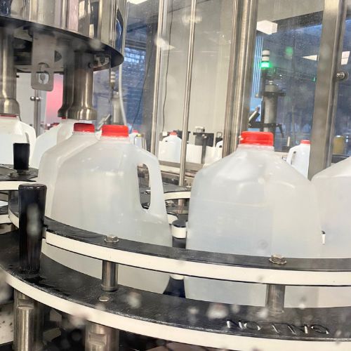 Filled one-gallon plastic jugs with red caps move along a rotary bottling machine in a factory.